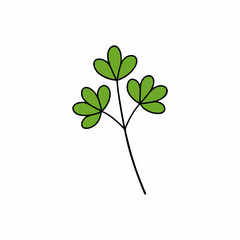 four leaf clover