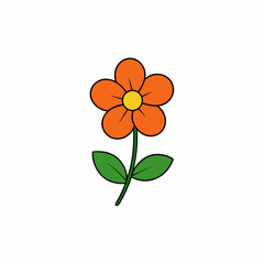 orange flower on white background