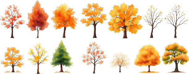 Autumn Trees Collection Watercolor Style Fall Foliage Graphic