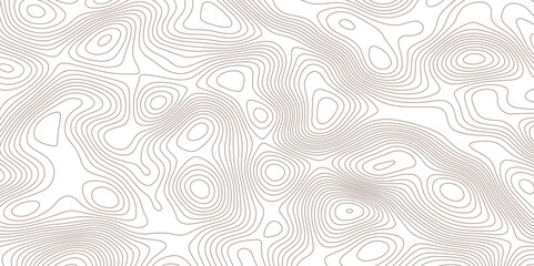 Abstract topographic map background. Topographic map lines contour background. 

