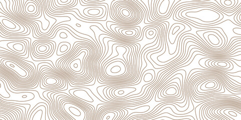 Abstract topographic map background. Topographic map lines contour background. 

