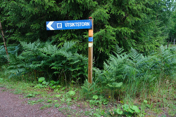 Trip to Kinnekulle in Sweden Skaraborg on a rainy summer day in July