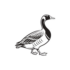 duck vector art and illutration