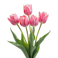 Pink tulips in a vase with green leaves