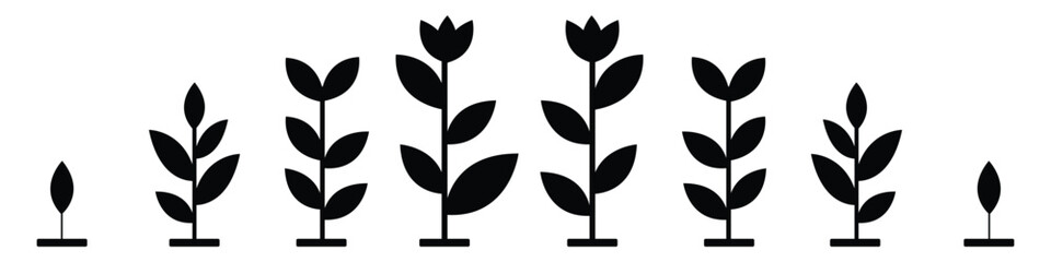 Thyme and herb black vector silhouettes, monochrome herbs on white background. flat design, vector, Flat vector herbs. Silhouette spices collection.