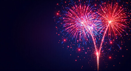 Fototapeta premium fireworks in the night sky