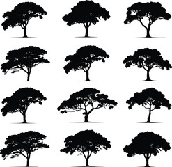 Black Tree Silhouette Vector with Minimalist and Clean Design