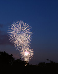 fireworks over the river