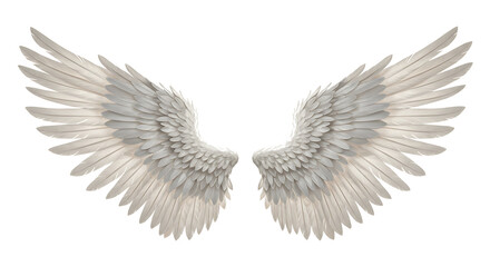 Fototapeta premium white angel wing isolated for design. cutout Transparent PNG background