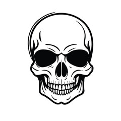  Black and white vector image of a human skull