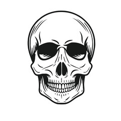  Black and white vector image of a human skull