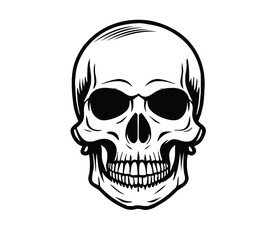  Black and white vector image of a human skull