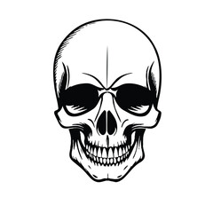  Black and white vector image of a human skull