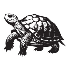 Fototapeta premium turtle on a branch