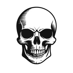  Black and white vector image of a human skull