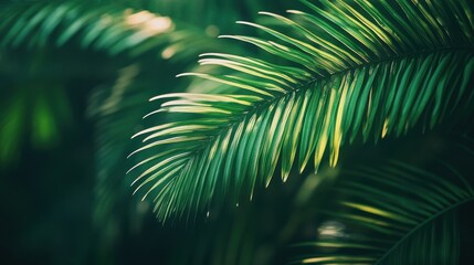 tropical, cinematic look, high detail, professional quality