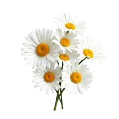 Fotobehang White daisies with yellow centers © SwathiFX