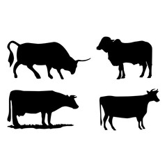 Cow silhouette , Dairy cow on white background.