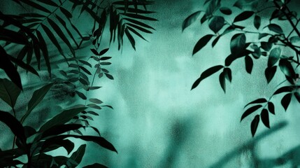 Teal Wall Background With Dark Green Leaf Shadows