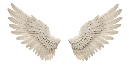 Fototapeta premium white angel wing isolated for design. cutout Transparent PNG background
