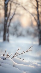Snow blurred background with a softly illuminated tree in ambient light.