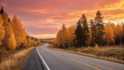 Fototapeta premium Road in autumn forest 