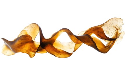 Golden seaweed isolated on white background. Clipping path included.