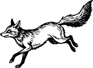 fox cartoon isolated on white