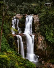 waterfall in the woods