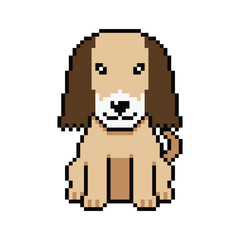 Fototapeta premium Pixel art cute afghan hound dog vector in retro style for design.