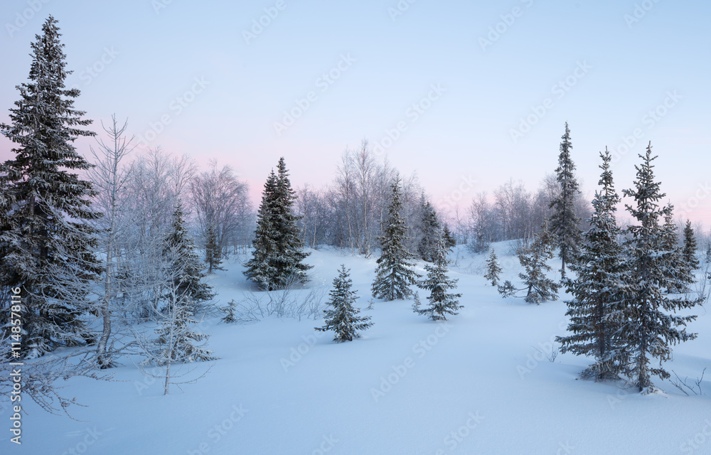 Poster A snowy field with trees and a blue sky. The trees are bare and covered in snow. The sky is a light blue color