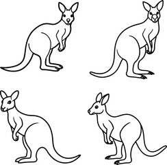 Bundle kangaroo line art and illustrator 