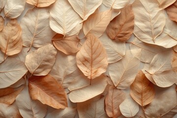 Fototapeta premium Dried Leaves Arranged In A Patterned Display