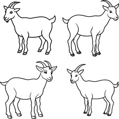 Bundle goat line art and illustrator