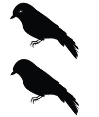 Cute cartoon hand drawn vector Australian golden whistler icon silhouette.
