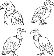 Bundle vulture line art and illustrator 