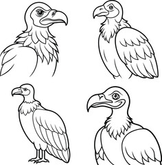 Bundle vulture line art and illustrator 