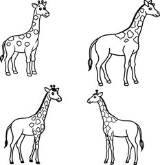 Giraff bundle line art and illustrator eps