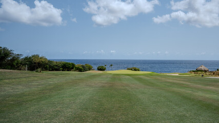Idyllic Golf Course in Curaçao: Azure Waters, Palm-Lined Fairways, and Thatched Roof Structures Amidst Lush Greenery, Embodying the Tropical Serenity and Luxurious Appeal of this Caribbean Destination