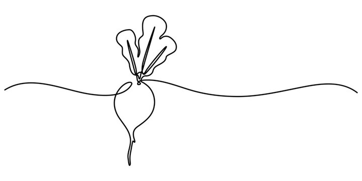 recommend clip art: Continuous line drawing whole healthy organic beetroot for plantation logo identity, Vector continuous one single line drawing icon of beetroot with leaf in silhouette on a white background. Linear. 