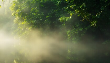Lush Tropical Forest with Misty Morning Fog