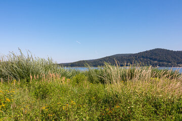 Serene lakeside scene at Lake Mucharskie in Lesser Poland. Rolling hills covered by lush greenery and forest. Sense of peace and tranquility in summer. Vacation atmosphere. Tranquil remote landscape