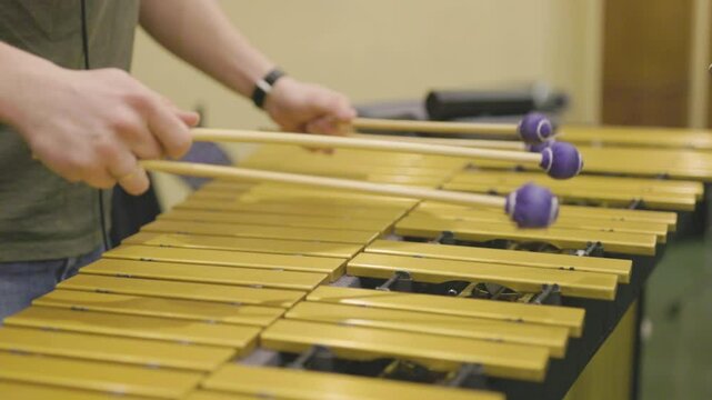 A percussionist playing a vibrophone with purple mallets during their practice session. Nr.1