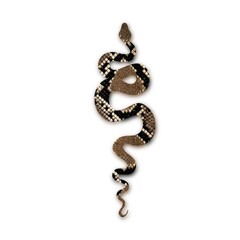 Tattoo snake.Isolated illustration. Traditional Tattoo Old School Tattooing Style Ink. Snake silhouette illustration. 
