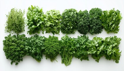 Fototapeta premium Assorted Fresh Herbs Displayed On A White Background, Offering A Variety Of Aromas And Flavors To Elevate Your Cooking Game.