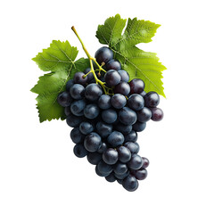 Fototapeta premium Blue purple grape isolated on white background clipping path