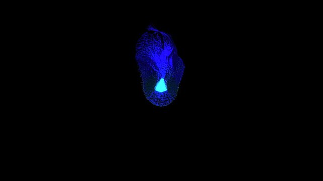 fluid smoke: liquid plasma [particle simulation loop]