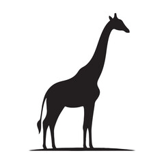Detailed giraffe silhouette for modern creative designs - Giraffe black vector
