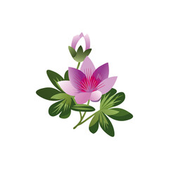 Fototapeta premium Flower 