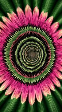 Experience a captivating display of abstract flowers in psychedelic hues featuring a mesmerizing spiral pattern. The rich colors and dynamic design create an immersive atmosphere.